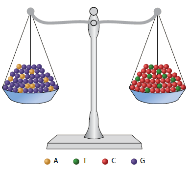 قاعدة تشارغاف قاعدة تشارغاف